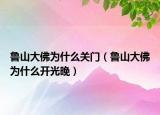 魯山大佛為什么關(guān)門（魯山大佛為什么開光晚）