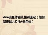 dna染色體胎兒性別鑒定（如何鑒定胎兒DNA染色體）