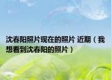 沈春陽照片現在的照片 近期（我想看到沈春陽的照片）