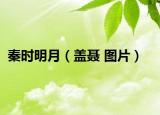 秦時明月（蓋聶 圖片）
