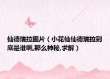 仙德瑞拉圖片（小花仙仙德瑞拉到底是誰(shuí)啊,那么神秘,求解）