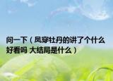 問一下（鳳穿牡丹的講了個什么 好看嗎 大結(jié)局是什么）