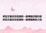 岸田文雄談安倍遇刺一度哽咽詳細(xì)內(nèi)容 岸田文雄談安倍遇刺一度哽咽具體介紹