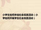 小學(xué)生如何參加社會實踐活動（小學(xué)如何開展學(xué)生社會實踐活動）