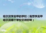 哈爾濱學美甲的學校（我想學美甲哈爾濱哪個學校交得好啊）