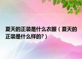 夏天的正裝是什么衣服（夏天的正裝是什么樣的?）