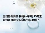 當(dāng)日最新消息 種地補(bǔ)貼8月15號之前到賬 每畝補(bǔ)貼500元來準(zhǔn)信了