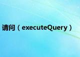 請(qǐng)問（executeQuery）