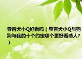 導(dǎo)盲犬小Q好看嗎（導(dǎo)盲犬小Q與狗狗與我的十個(gè)約定哪個(gè)更好看感人?）
