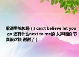 歌詞里貌似是（I can;t believe let you go 還有什么next to me的 女聲唱的 節(jié)奏很歡快 謝謝了）