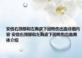 安倍右頸部和左胸皮下因槍傷出血詳細內容 安倍右頸部和左胸皮下因槍傷出血具體介紹