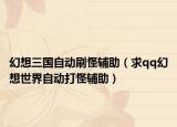 幻想三國自動刷怪輔助（求qq幻想世界自動打怪輔助）