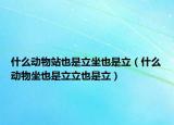 什么動物站也是立坐也是立（什么動物坐也是立立也是立）