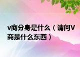 v商分身是什么（請問V商是什么東西）