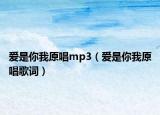 愛是你我原唱mp3（愛是你我原唱歌詞）