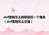 dnf寵物怎么轉移到另一個角色（dnf寵物怎么交易）