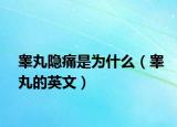 睪丸隱痛是為什么（睪丸的英文）