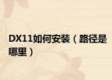 DX11如何安裝（路徑是哪里）