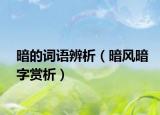 暗的詞語辨析（暗風暗字賞析）