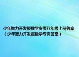 少年智力開發(fā)報數學專頁八年級上冊答案（少年智力開發(fā)報數學專頁答案）