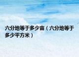 六分地等于多少畝（六分地等于多少平方米）