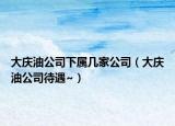 大慶油公司下屬幾家公司（大慶油公司待遇~）