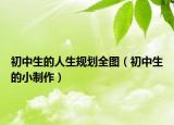初中生的人生規(guī)劃全圖（初中生的小制作）