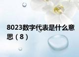 8023數(shù)字代表是什么意思（8）