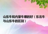 山東牛和內(nèi)蒙牛哪的好（東北牛與山東牛的區(qū)別）