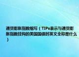 通貨膨脹指數(shù)縮寫（TIPs表示與通貨膨脹指數(shù)掛鉤的美國國債時英文全稱是什么）