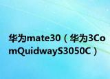 華為mate30（華為3ComQuidwayS3050C）