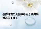 搜狗拼音怎么刪除動畫（搜狗拼音怎樣下載）