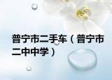 普寧市二手車（普寧市二中中學）