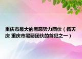 重慶市最大的黑惡勢力團伙（楊天慶 重慶市黑惡團伙的首犯之一）