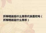 折柳相送是什么意思代表喜歡嗎（折柳相送是什么意思）