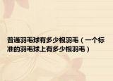 普通羽毛球有多少根羽毛（一個標(biāo)準(zhǔn)的羽毛球上有多少根羽毛）