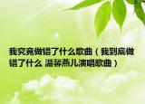 我究竟做錯了什么歌曲（我到底做錯了什么 溫馨燕兒演唱歌曲）