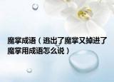 魔掌成語（逃出了魔掌又掉進(jìn)了魔掌用成語怎么說）