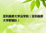 亞利桑那大學(xué)法學(xué)院（亞利桑那大學(xué)野貓隊(duì)）