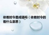 依著時(shí)令是成語嗎（依著時(shí)令的著什么意思）