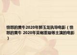 憤怒的黃牛2020年郭玉龍執(zhí)導電影（憤怒的黃牛 2020年吳樾董璇等主演的電影）