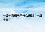 一級士官相當(dāng)于什么級別（一級士官）