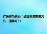 虹吸壺的結(jié)構(gòu)（虹吸壺原理是怎么一回事呀?）
