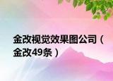 金改視覺效果圖公司（金改49條）