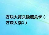 方塊大背頭隱藏關(guān)卡（方塊大戰(zhàn)1）
