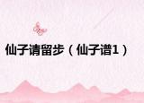 仙子請留步（仙子譜1）