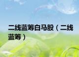 二線(xiàn)藍(lán)籌白馬股（二線(xiàn)藍(lán)籌）