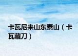 卡瓦尼來(lái)山東泰山（卡瓦藏刀）