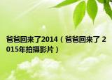 爸爸回來了2014（爸爸回來了 2015年拍攝影片）
