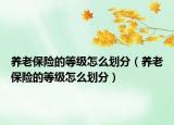養(yǎng)老保險的等級怎么劃分（養(yǎng)老保險的等級怎么劃分）